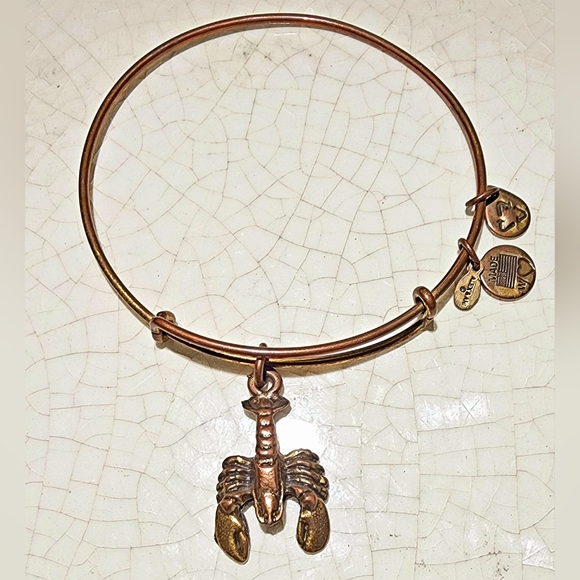 Alex and Ani copper tone scorpion adjustable wire bangle - Picture 3 of 6